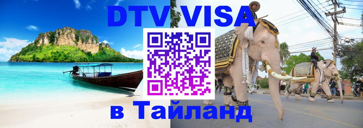 Сколько стоит DTV виза — актуальные цены, оформление даже без документов - 05.12.2025 